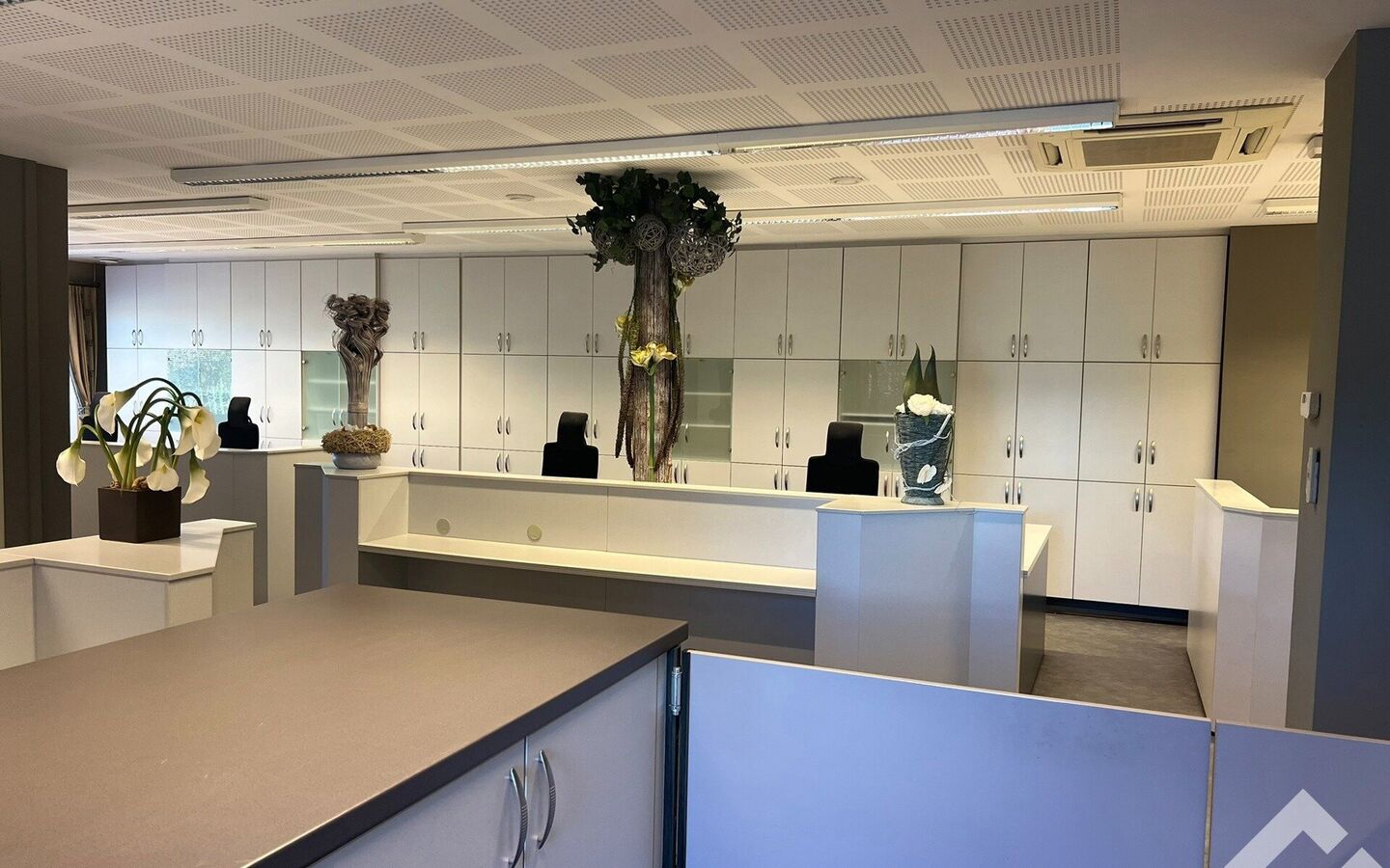 Industrieel gebouw te huur in Hamont-Achel